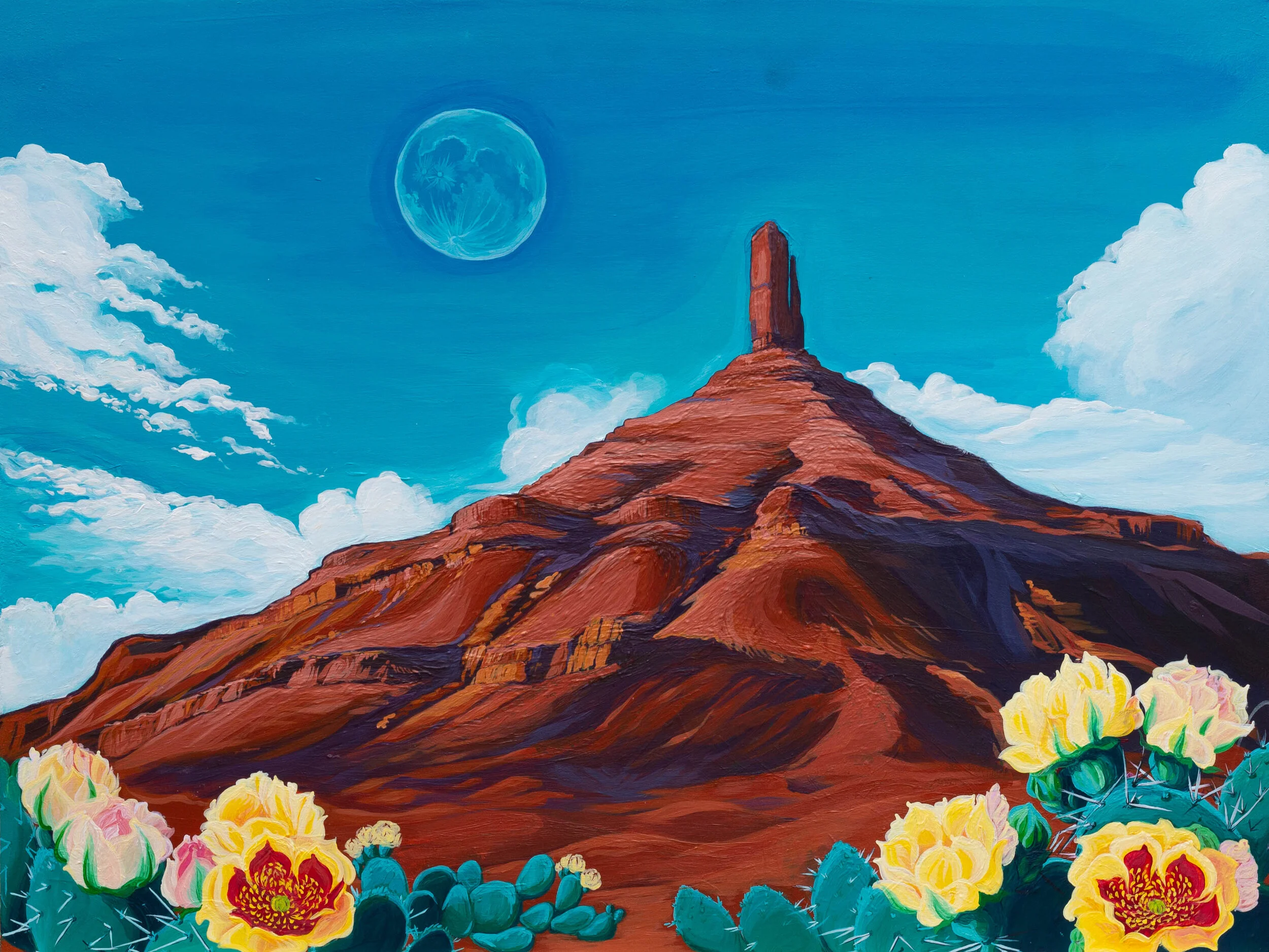 Montana Wildflowers<br/>24